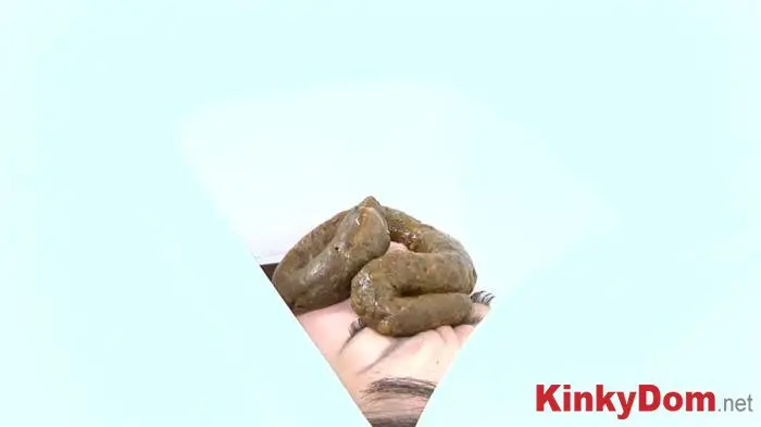 Japan Girls (The Human Toilet 4 - FullHD 1080p) [mp4 / 556 MB] - Scat Download