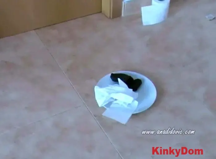 Ana Didovic (Nice Plating - SD) [mp4 / 17.9 MB] - Scat Download