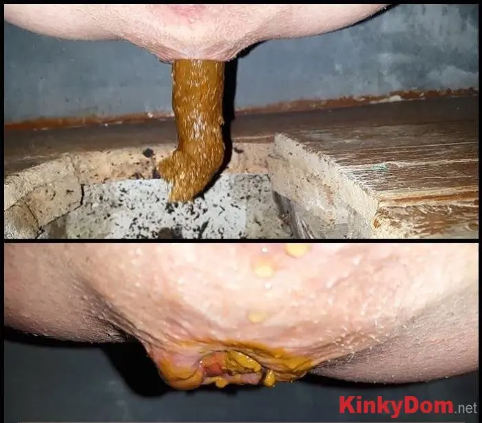 Anna Coprofield (Outdoor Village Toilet 5 Shit Compilation - FullHD 1080p) [mp4 / 1.07 GB] - Scat Download