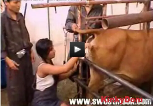 Sweet Mook (Lord Of The Dung 3 - SD) [wmv / 248 MB] - Scat Download