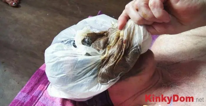 Scat Cats, Domi, Kimi, Lucy, Hanna (Scat Cats - The Shiteater Comes too Late P2 - SD) [wmv / 165 MB] - Scat Download