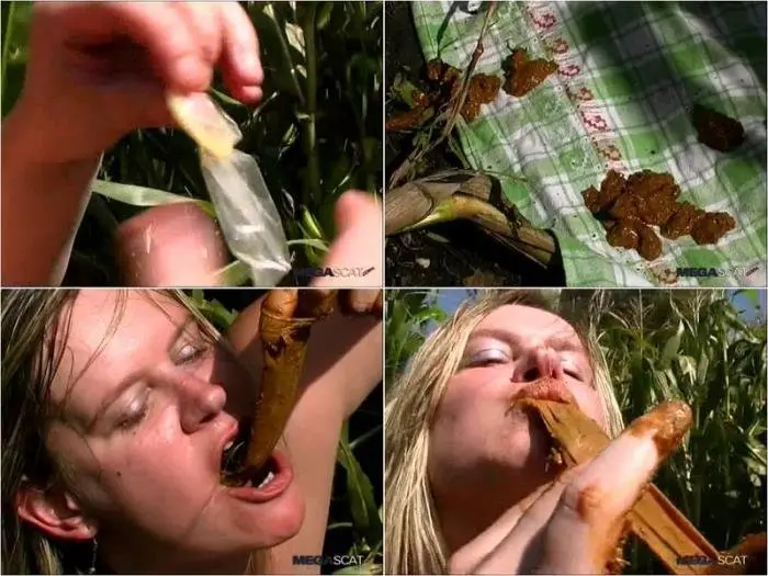 TattyDirtyPoo (MEGASCAT NATURAL RELIEF AND TASTY LUNCH OF SHIT - SD) [Windows Media / 82.3 MB] - Scat Download