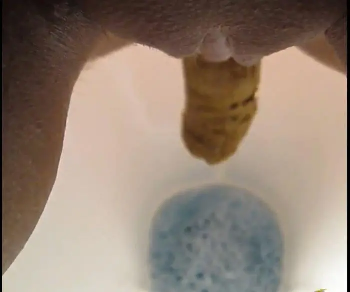 CandieCane (Solo Poop No. 10 - FullHD 1080p) [mp4 / 42.4 MB] - Scat Download