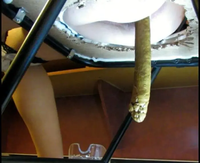 Eva (Lbs 2 feet turd of SHIT from my 110 lbs body For my customer - FullHD 1080p) [mp4 / 1.08 GiB]