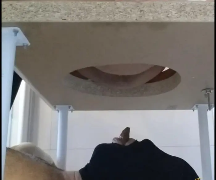 ScatVivian (Suck my Shit Toilet Bitch - FullHD 1080p) [mp4 / 1.11 GiB] - Scat Download