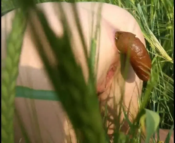Nicolettaxxx (Summer Meadow Scared - FullHD 1080p) [mp4 / 118 MB] - Scat Download