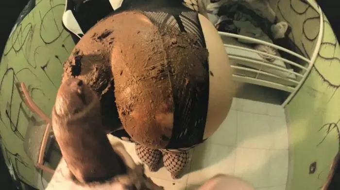 DirtyBetty (Wanna polish your bone, on my shit? - FullHD 1080p) [wmv / 215 MB]