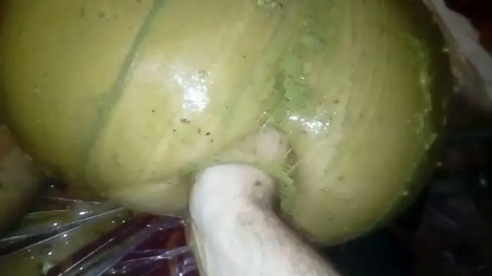 Marlinda Branco (Dirty Nurse Filthy Hardcore Porn Shit - FullHD 1080p) [mp4 / 849 MB] - Scat Download