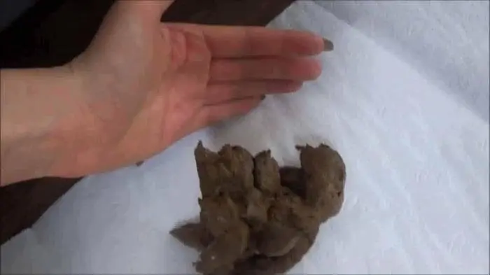 HotDirtyIvone (Biggest shit ever is coming - FullHD 1080p) [wmv / 211 MB] - Scat Download