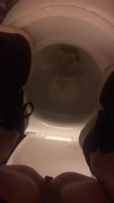 VeganLinda (7 days every Pee & Shit AsiaTrip Part 2 - UltraHD 2K) [mov / 1.61 GB] - Scat Download