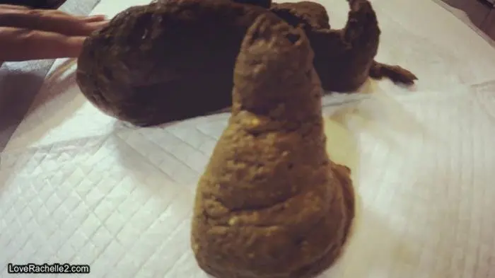 LoveRachelle2 (Turd Cutter Series… Shit & Showoff: Part 8 - FullHD 1080p) [mp4 / 500 MB]