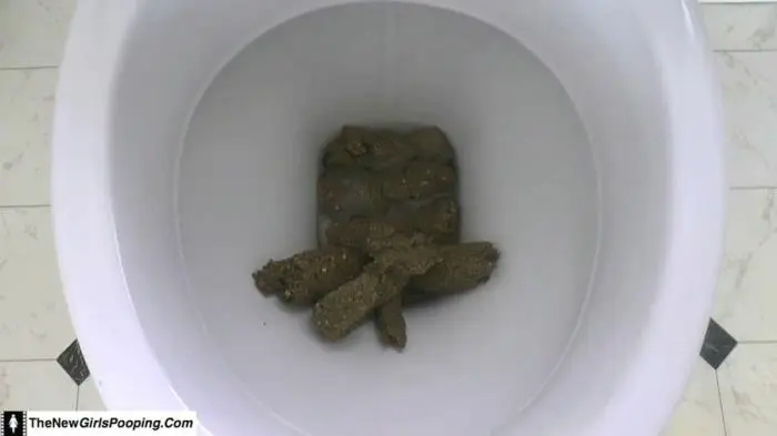 ShitGirl (Toilet Destroyed In 5 Mins - FullHD 1080p) [mp4 / 471 MB] - Scat Download