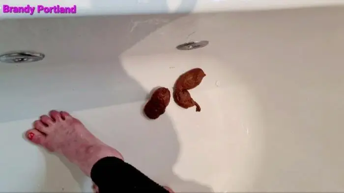 Brandy_Portland (Secret Poop Full House - FullHD 1080p) [mp4 / 727 MB] - Scat Download