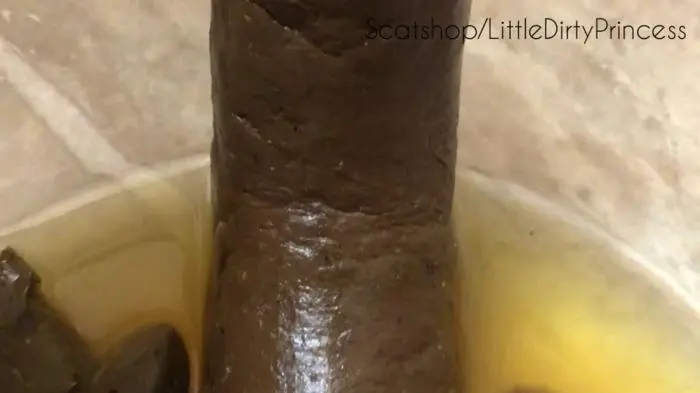 LittleDirtyPrincess (Long thick poop served in a bowl of pee for you - FullHD 1080p) [mp4 / 609 MB] - Scat Download