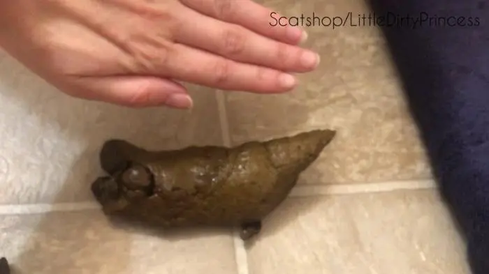LittleDirtyPrincess (Urgent shit plops on the floor - FullHD 1080p) [mp4 / 306 MB] - Scat Download