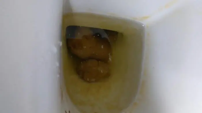 PooGirlSofia (Talking on the toilet whilst shitting - FullHD 1080p) [mp4 / 735 MB] - Scat Download