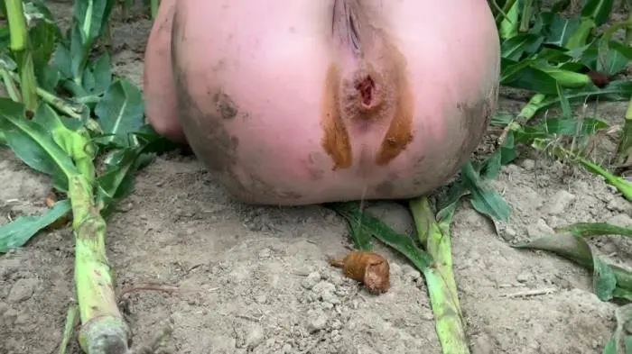 Devil Sophi (Extremely dirty with rubber boots in the field on the way - FullHD 1080p) [mp4 / 487 MB] - Scat Download