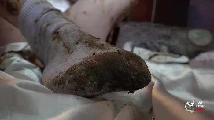 Solo (Socks + Shit - FullHD 1080p) [mp4 / 688 MB]