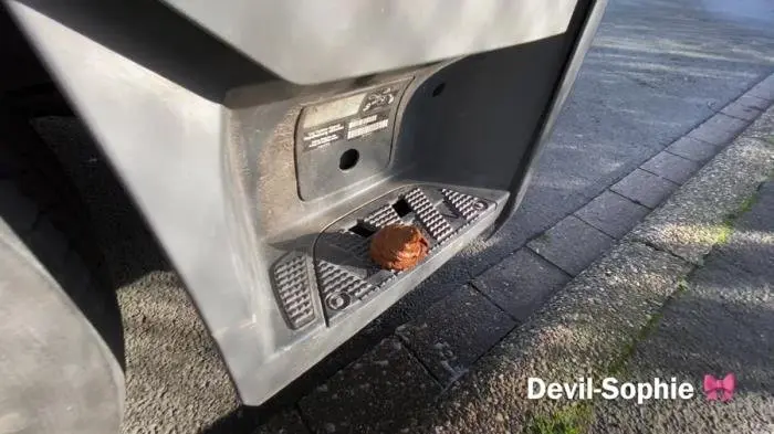 Devil Sophie (OMG - how does the shit get onto the truck running board - UltraHD 4K) [mp4 / 338 MB] - Scat Download