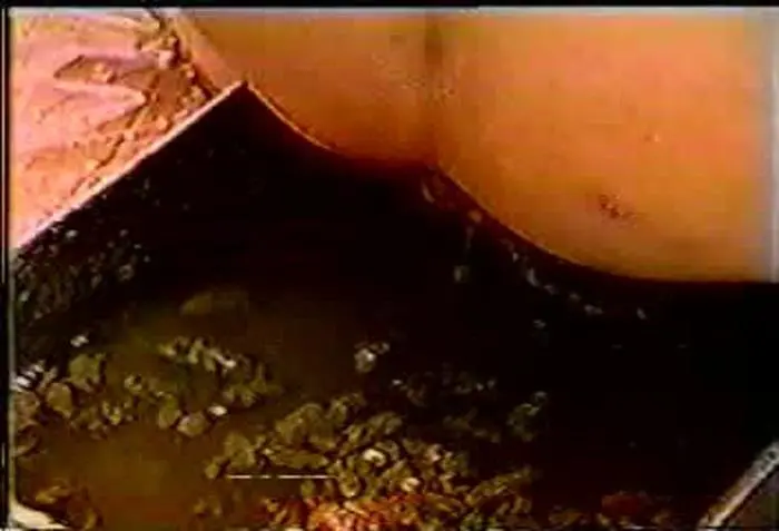 Amateur (Rare Scat Enema - DVDRip) [mpg / 265 MB] - Scat Download