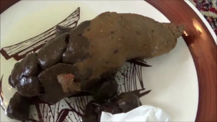 Tegan Brooke (Poop on a Plate - FullHD 1080p) [mp4 / 411 MB] - Scat Download