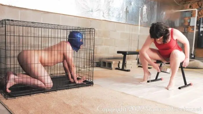 Madam Director Lola (No People Food Allowed - UltraHD 4K) [mp4 / 2.43 GB] - Scat Download