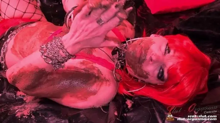 Shit play at a party (Party whore is playing with her shit - Dirty whore extreme shit throating and puking - FullHD 1080p) [mp4 / 5.89 GB] - Scat Download