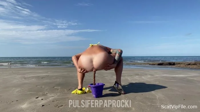 PulsiferPaprocki (Beach Bucket Poopd - FullHD 1080p) [mp4 / 98.6 MB]