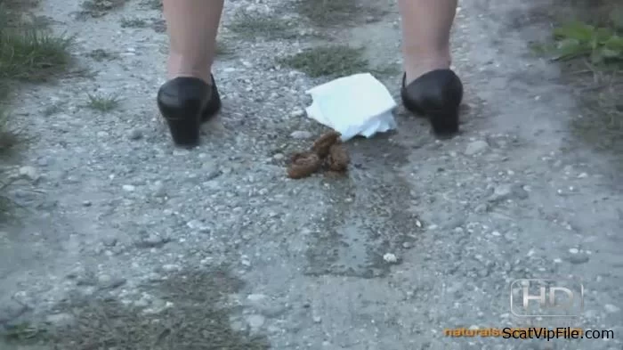 OutdoorScat (The woman sat down and took a shit on the street - HD 720p) [mp4 / 149 MB]