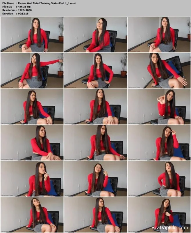 Meana Wolf (Toilet Training Series Part 1 - FullHD 1080p) [mp4 / 1.21 GB] screenshot