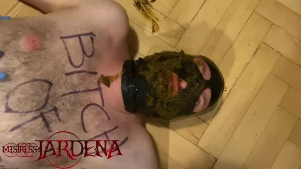 Mistress Jardena (Masacrated bitch on first toilet session - HD 720p) [mp4 / 72.7 MB] - Scat Download