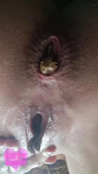 Kitty Skatt (Festival Constipation - SD) [mp4 / 517 MB] - Scat Download