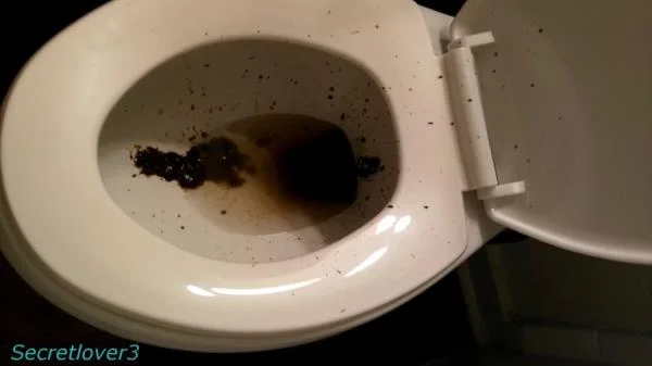Sorsha aka Secretlover3 (Toilet Spray - FullHD 1080p) [mp4 / 568 MB] - Scat Download