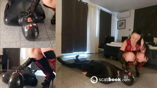 Mistress Luciana (Na los friss meine Scheiße restlos auf - HD 720p) [mp4 / 70.2 MB] - Scat Download