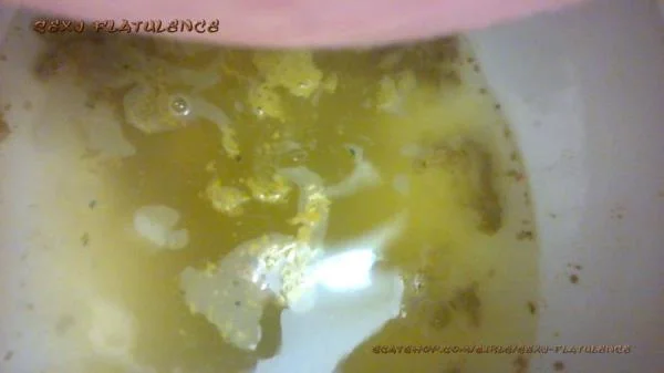 Diarrhea In The Toilet - FullHD 1080p [mp4 / 365 MB] - Scat Download