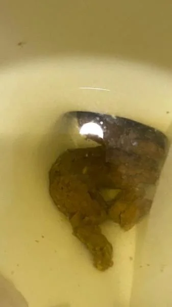 Shitting On The Bathroom Floor At Work - SD [mp4 / 347 MB] - Scat Download