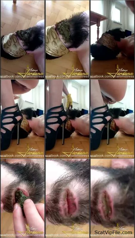 Mistress Jardena (Scat lunch for my dirty slut - SiteRip) [mp4 / 32 MB] screenshot