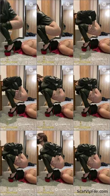 Mistress Jardena (My personal toilet - HD 720p) [mp4 / 15.92 MB]