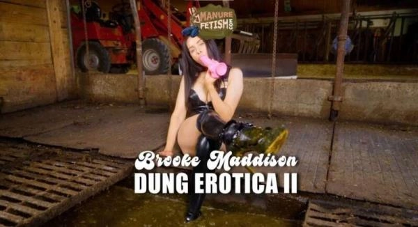 Scat Dung Erotica 2 - HD 720p [mp4 / 971.5 MB] - Scat Download