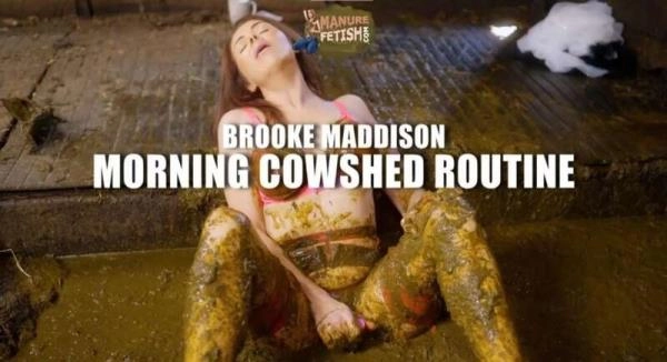 Morning Cowshed Routine - HD 720p [mp4 / 820.8 MB] - Scat Download