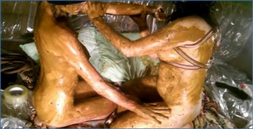 AstraCelestial's Extreme Scat Orgy Part 4- Hardcore Copro and Shitting Action - Scat Download