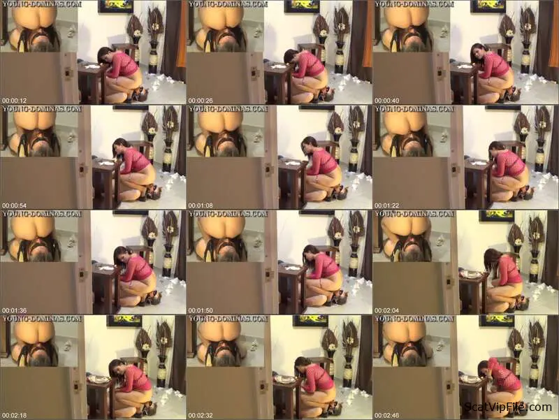 Stupid Slaves in Real Facesitting and Scat Action in Floor Shitting Ahead Part 7 screenshot