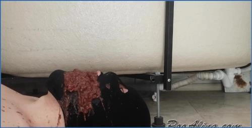 PooAlina Delivers messy Scat Action with Explosive Diarrhea on Face and Mouth - Scat Download