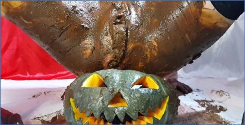 Hardcore Toilet Action with Anna Coprofield in Trick Or Treat - Scat Download