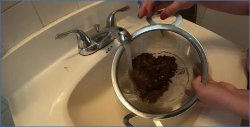 Layla Lee in Treasure Hunt: Hardcore Shit Eating with Big Tits and Hairy Pussy - Scat Download