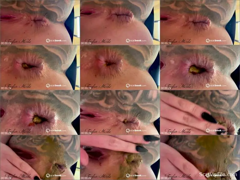 Taylor Nicole Drops Wild Poo Clip with Heavy Ass to Mouth in Toilet Slave screenshot