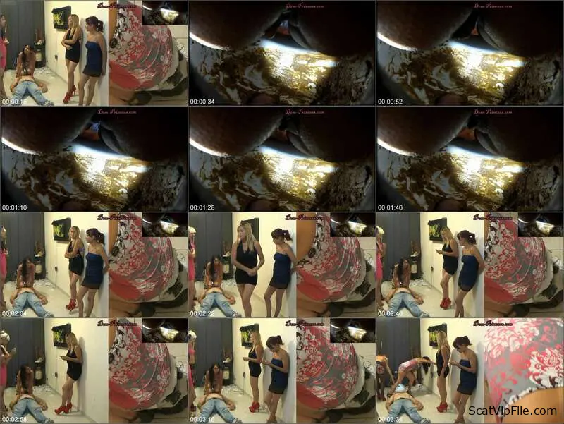 see Denise and Naomi in Scat and Peeing Action screenshot