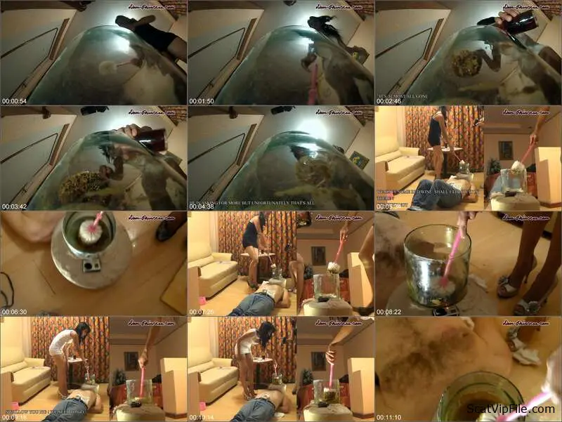 Denise in The Poop Collector Part 09 Shit Eating Femdom Video screenshot