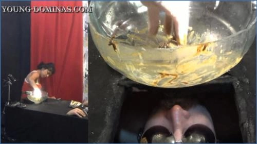 Stupid Slaves Dominates with Farting, Puke, and Facesitting - Scat Download