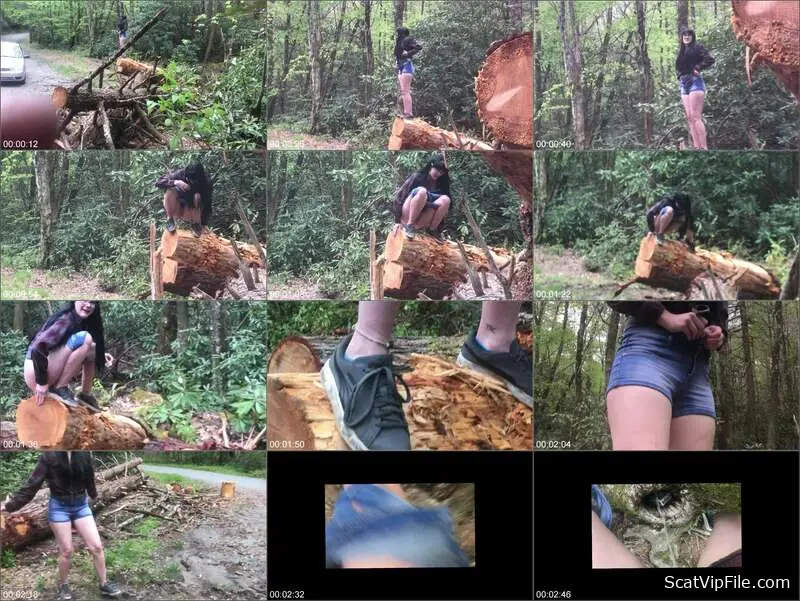 Missellie's Puking, Peeing, and Smearing Orgy of Scat Grime screenshot